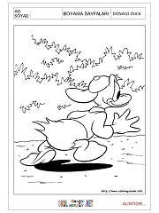 Donald Duck boyama sayfaları